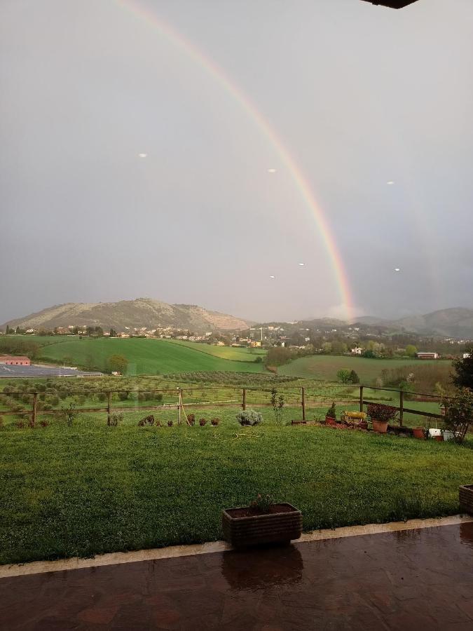 Il Faggio 17 B&B Artena Εξωτερικό φωτογραφία