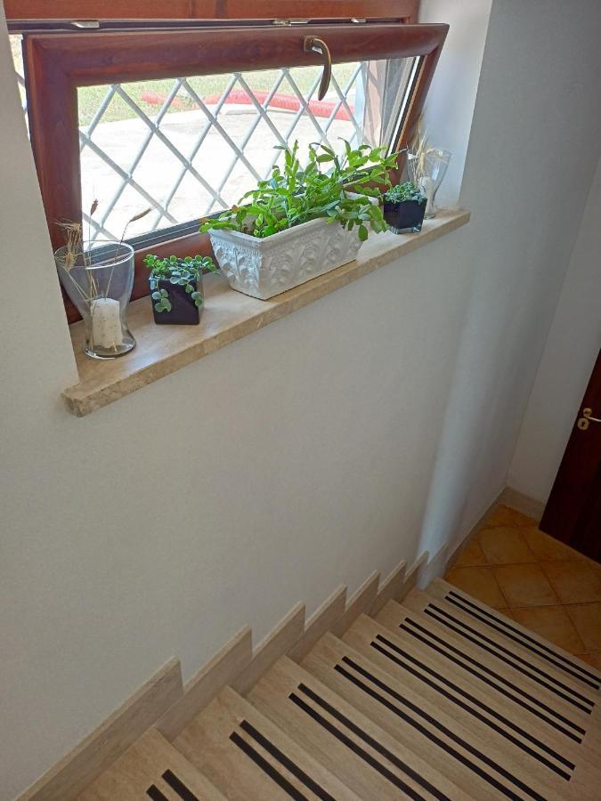 Il Faggio 17 B&B Artena Εξωτερικό φωτογραφία