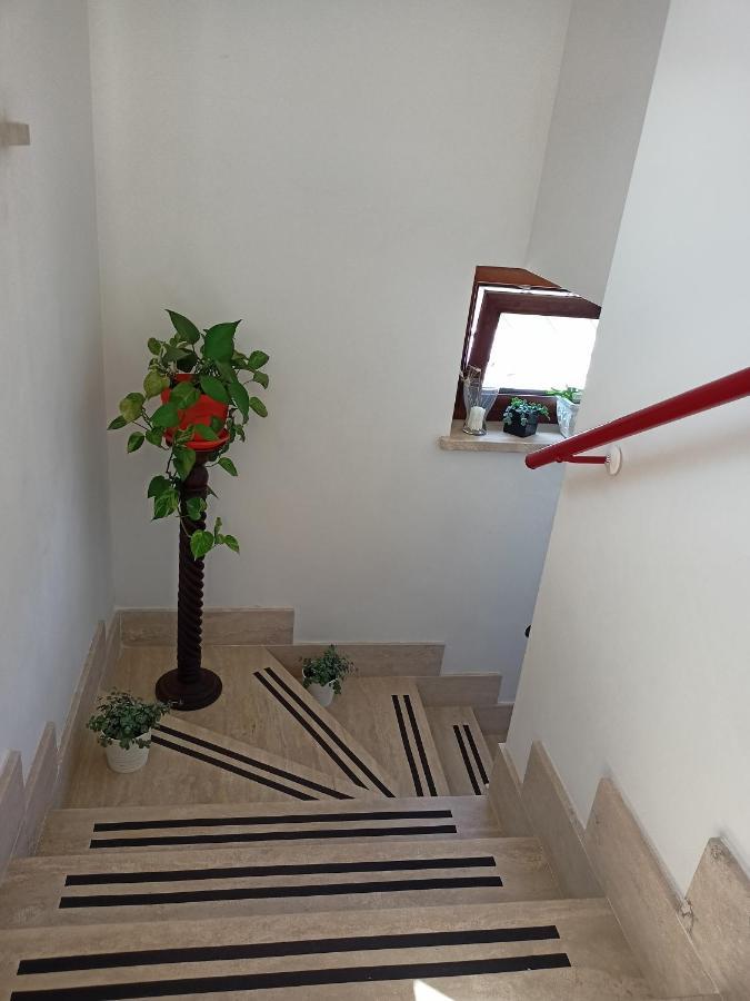 Il Faggio 17 B&B Artena Εξωτερικό φωτογραφία