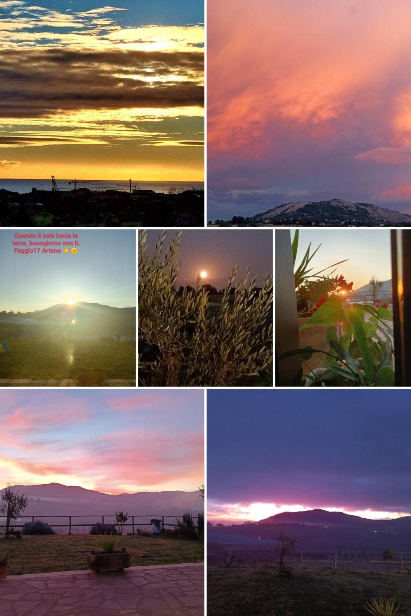 Il Faggio 17 B&B Artena Εξωτερικό φωτογραφία