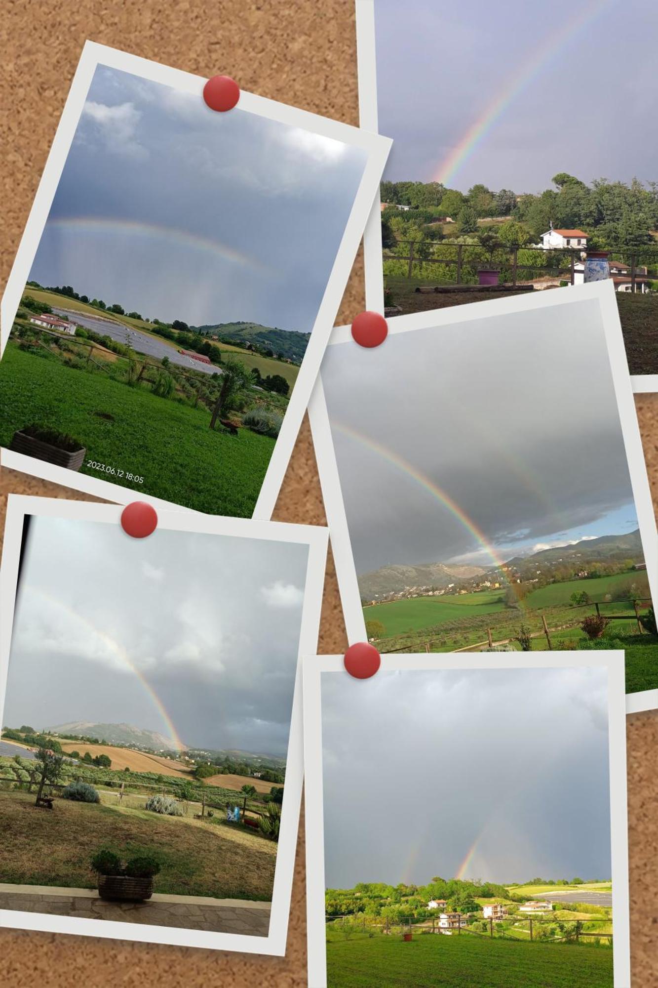 Il Faggio 17 B&B Artena Εξωτερικό φωτογραφία