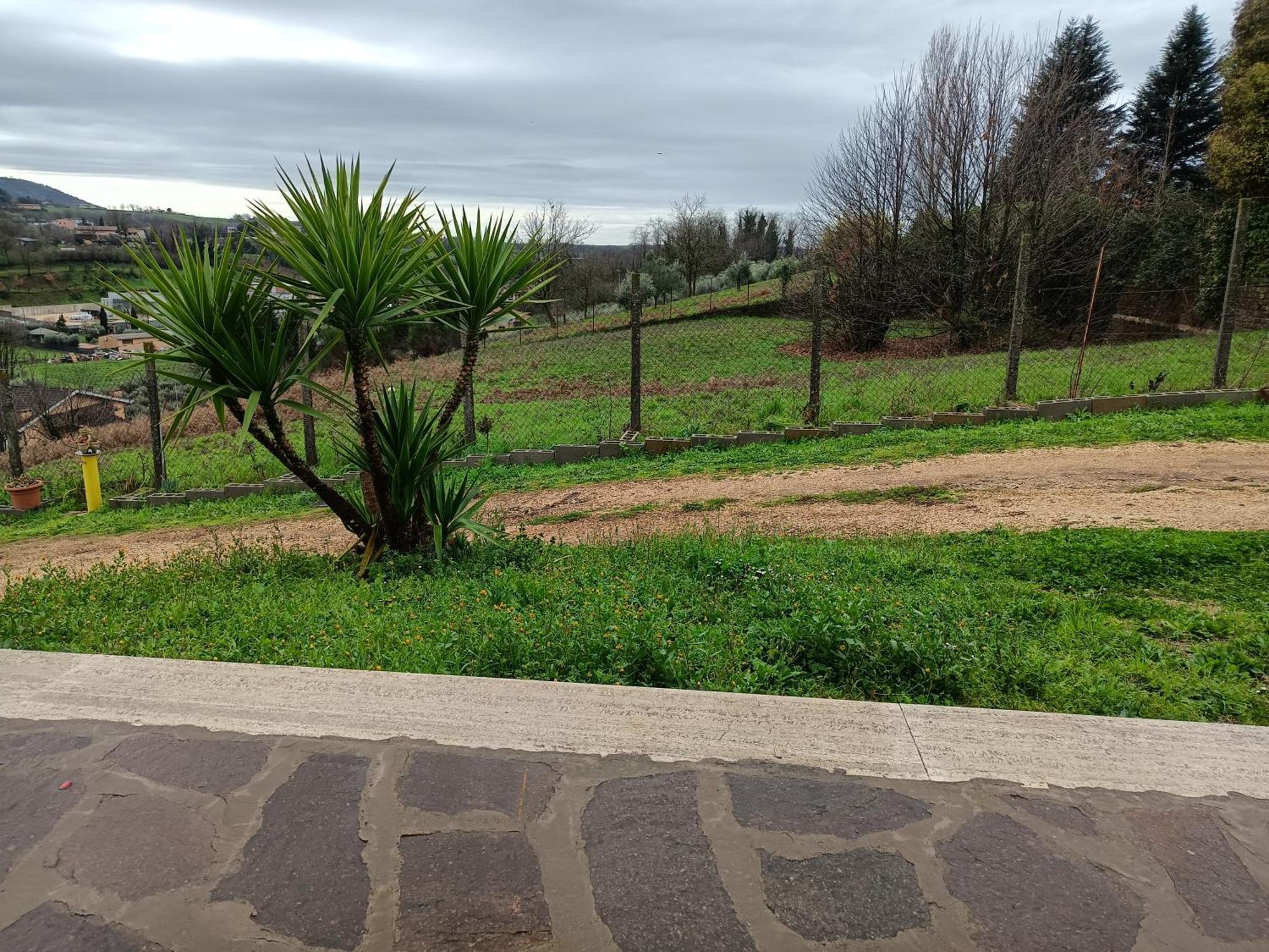 Il Faggio 17 B&B Artena Εξωτερικό φωτογραφία