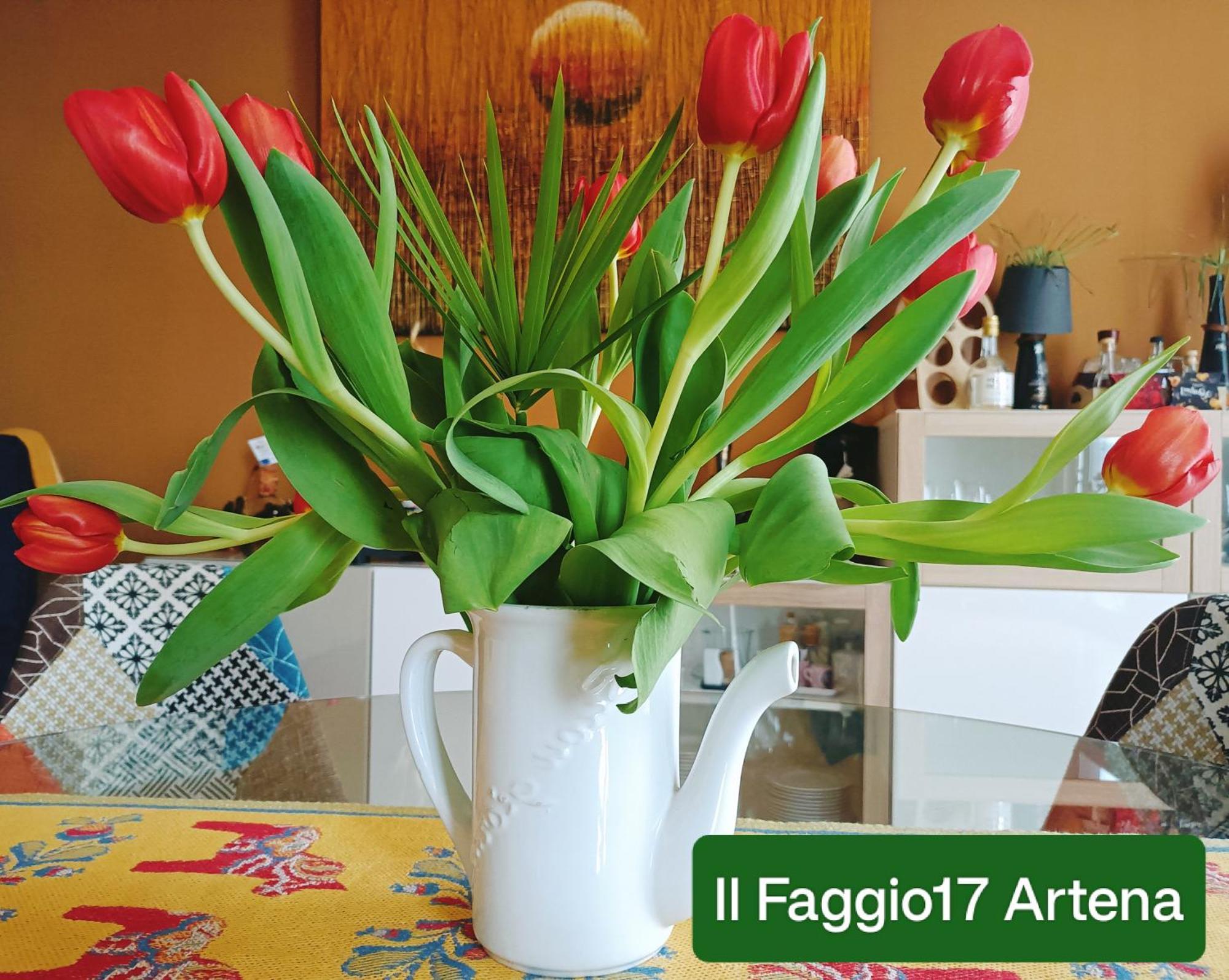Il Faggio 17 B&B Artena Εξωτερικό φωτογραφία