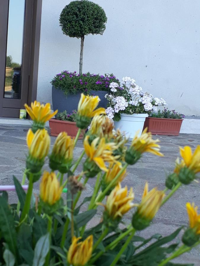 Il Faggio 17 B&B Artena Εξωτερικό φωτογραφία